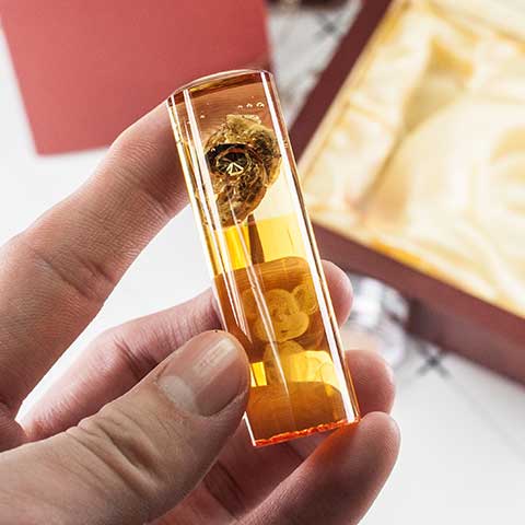 =========台中市(3/5)