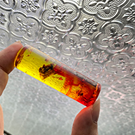 北門臍帶印章,北門區臍帶印章