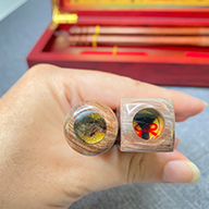 佳里臍帶章,佳里區臍帶章