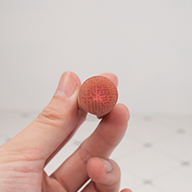 東山臍帶印章,東山區臍帶印章