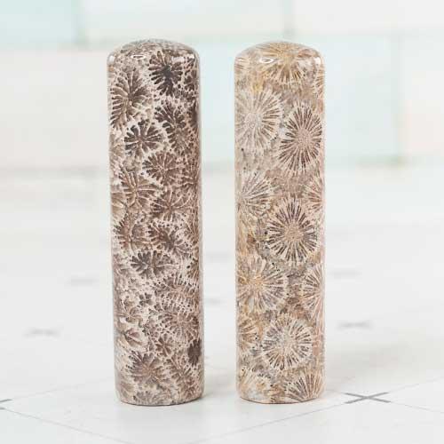 菊花石臍帶印章/乙顆