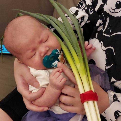 新北三重滿月剃頭