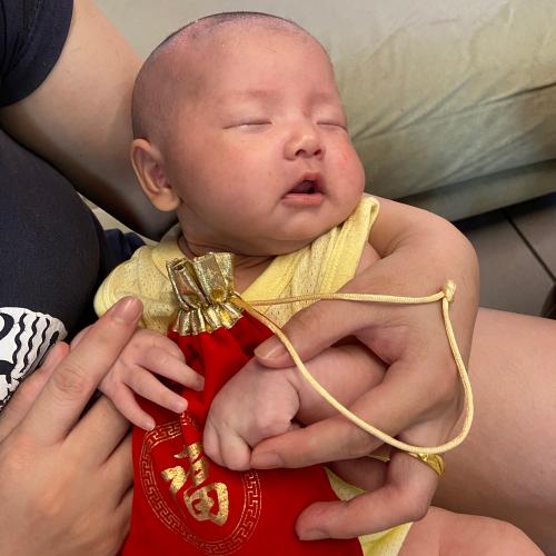 台北到府剃胎毛