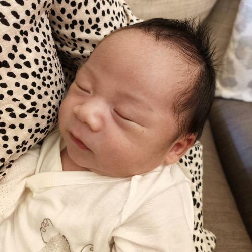 新北中和滿月剃頭