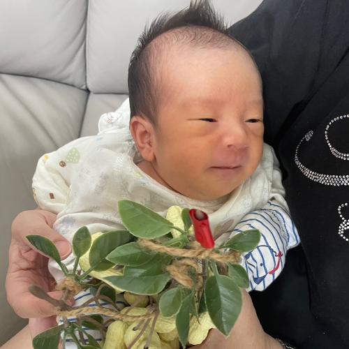 嘉義太保剃胎毛