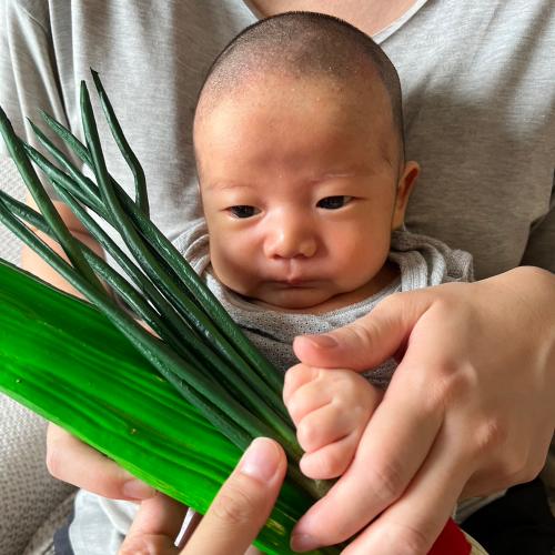 新北土城剃胎毛