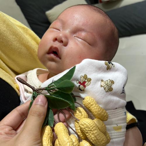 新北板橋古禮剃胎毛