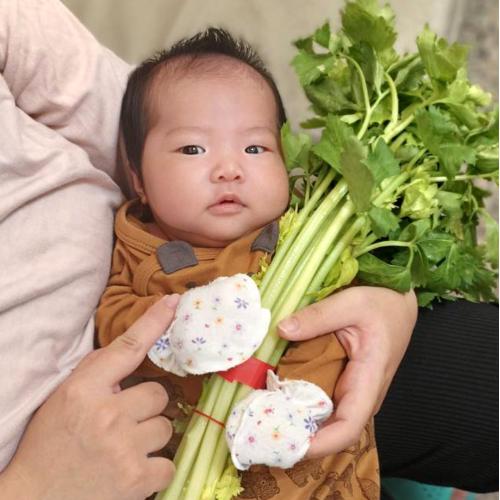 雲林斗六剃胎毛
