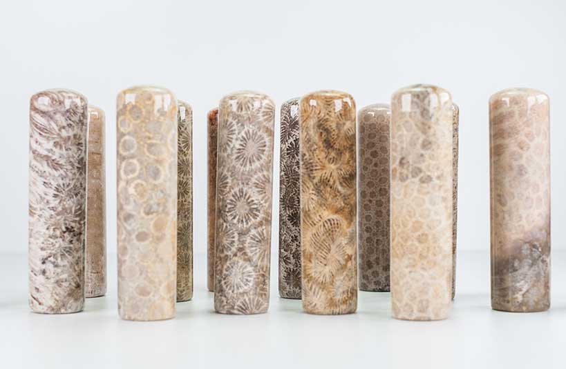 菊花石(珊瑚玉)印章