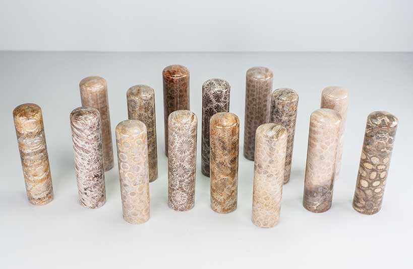 菊花石(珊瑚玉)印章