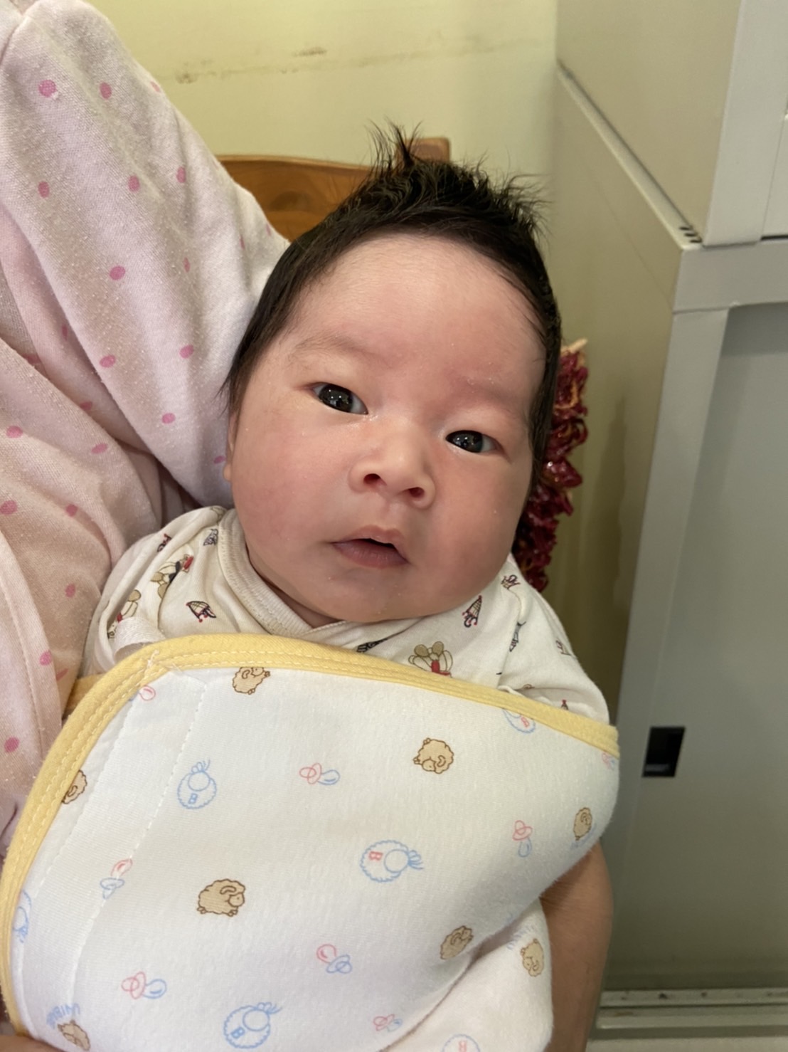  蘆洲古禮胎毛推薦，蘆洲古禮抓週天推薦，蘆洲古禮收延推薦，到府古禮剃胎毛推薦